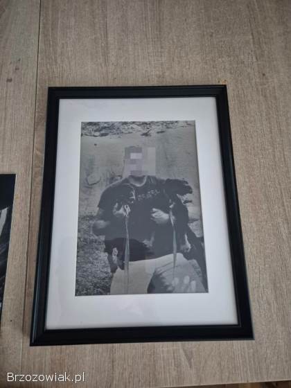 Oferuje obrazy portrety grawery okolicznościowe na drewnie I sklejce