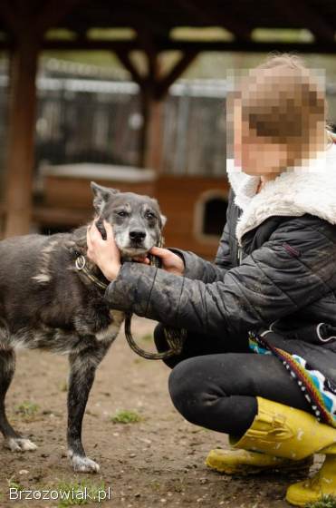 Hektor -  dziadeczek wyrwany z piekła,  pomocy!