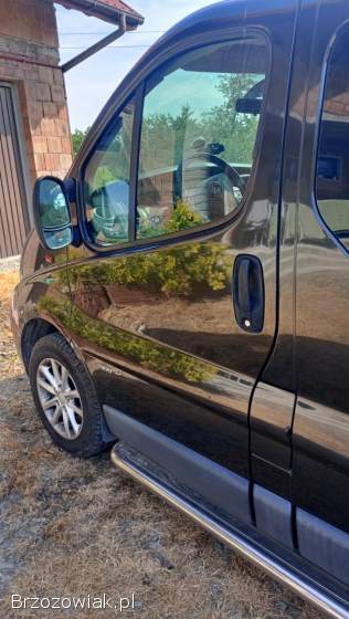 Opel Vivaro Długi  2007