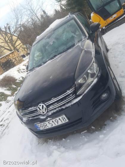 Volkswagen Tiguan BlueMotion  2013