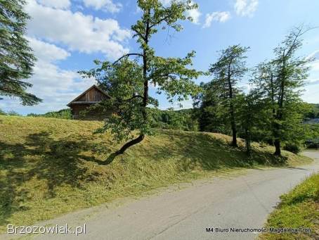 Siedlisko na podkarpaciu.  95 ar.  -  Świetna Cena