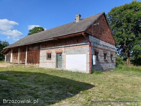 Siedlisko na podkarpaciu.  95 ar.  -  Świetna Cena