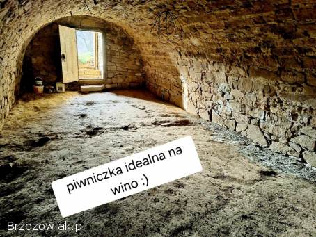 Siedlisko na podkarpaciu.  95 ar.  -  Świetna Cena