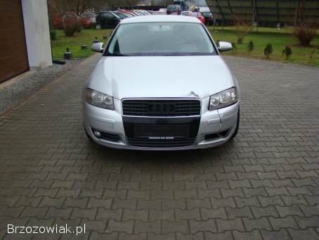 Audi A3 8P 2007