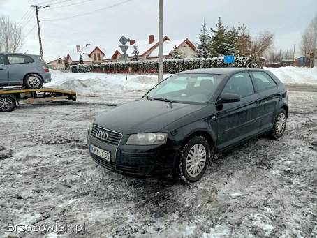 Audi A3 2.  0TDI 140km 03r 2003