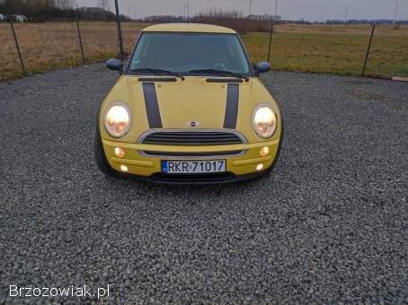 Mini ONE 1.  6 Benzyna  2003