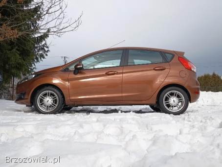 Ford Fiesta Gold 2015