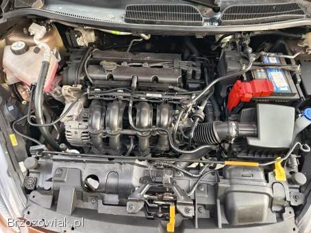 Ford Fiesta Gold 2015