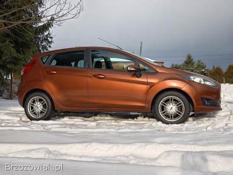 Ford Fiesta Gold 2015