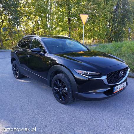 Mazda Cx-30 Premium 2022