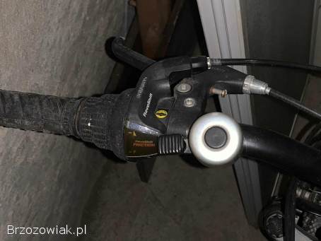 Rower górski BEST Full 2500