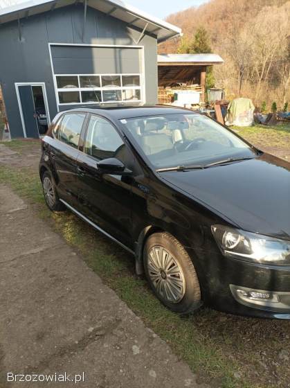 Volkswagen Polo 2011