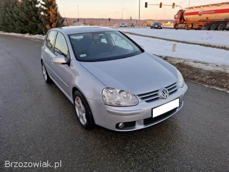 Volkswagen Golf V 1.  9 TDI Alu 2006