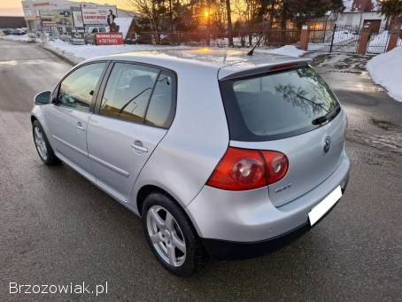 Volkswagen Golf V 1.  9 TDI Alu 2006