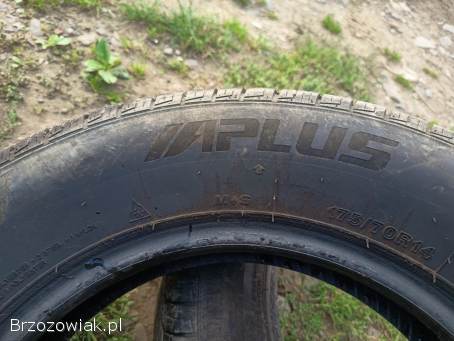 Opony Zimowe R14 175/70