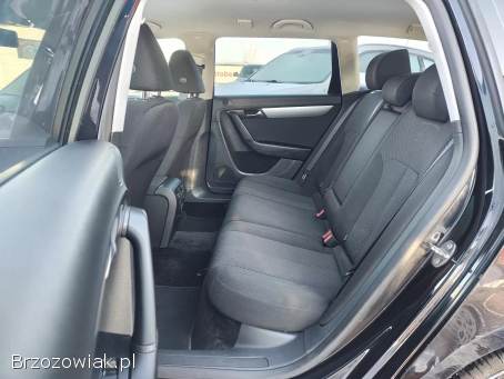 Volkswagen Passat Zadbany!   2013