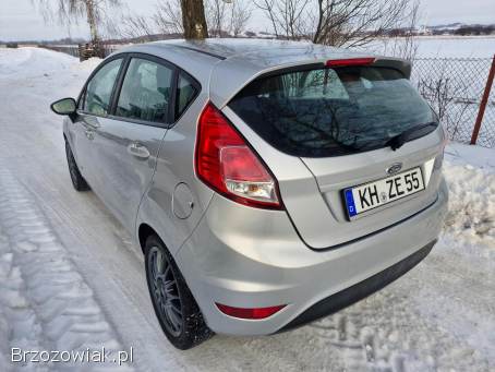 Ford Fiesta 1.  25 benzyna!   2015