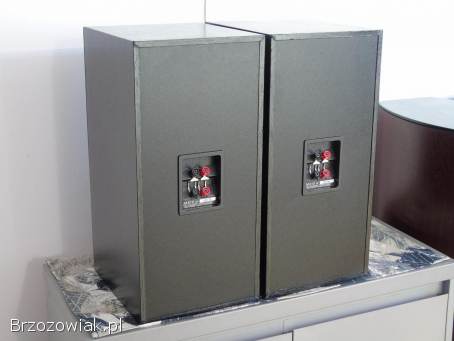 Brytyjskie kolumny stereo B&W DM 610 sprawne.  DOSTAWA.