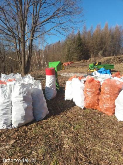 Wycinka drzew metoda alpinistyczna