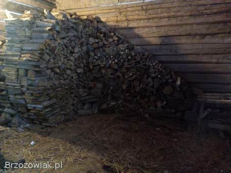 Wycinka drzew metoda alpinistyczna