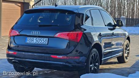 Audi Q5 Z Belgii 2010