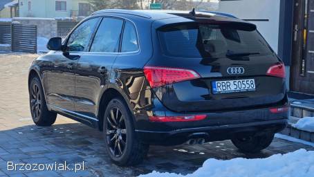 Audi Q5 Z Belgii 2010