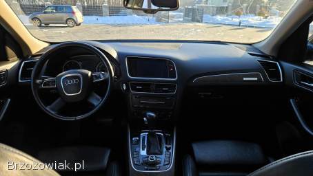 Audi Q5 Z Belgii 2010