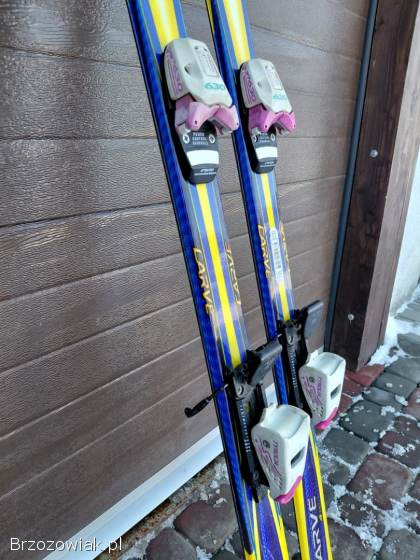 Narty Head Carve 4 X