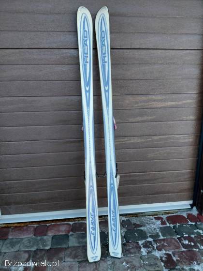 Narty Head Carve 4 X