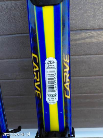 Narty Head Carve 4 X