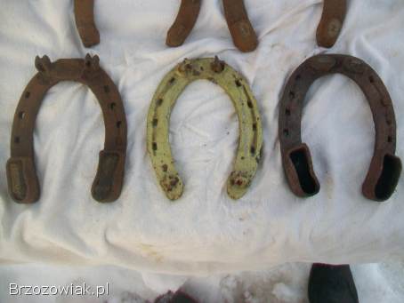 Stare podkowy końskie