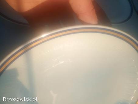 Zestaw talerzy obiadowych