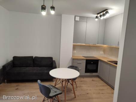 Wynajmę mieszkanie Brzozów 33 m