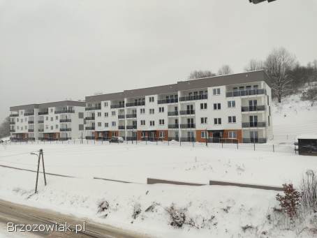 Wynajmę mieszkanie Brzozów 33 m