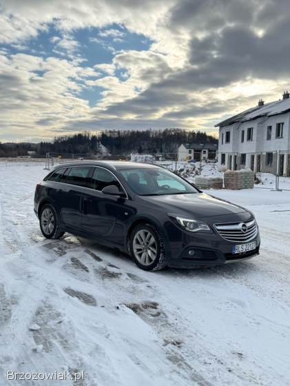 Opel Insignia 4x4 Country Tourer 2014