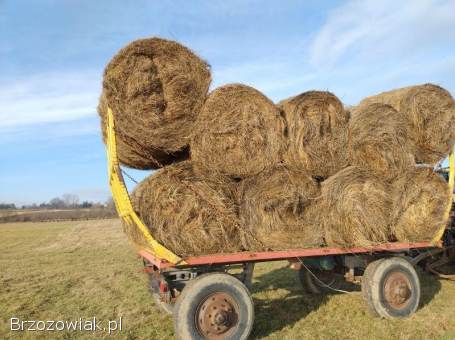Sprzedam przyczepę do bali i zboża