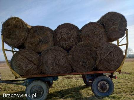 Sprzedam przyczepę do bali i zboża