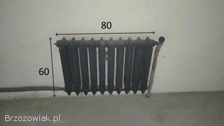Grzejniki żeliwne / żeberka