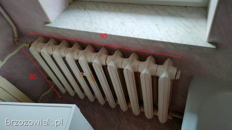 Grzejniki żeliwne / żeberka