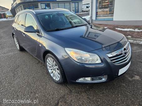 Opel Insignia 2.  0CDTI AUTOMAT 2010