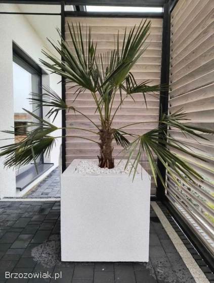 Nowoczesne donice na dowolny wymiar