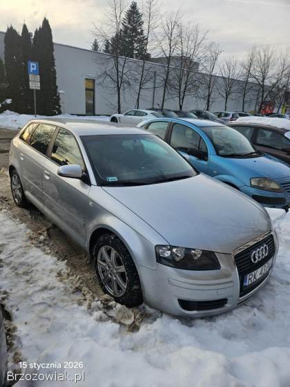 Audi A3 1.  9TDI 105KM 2006