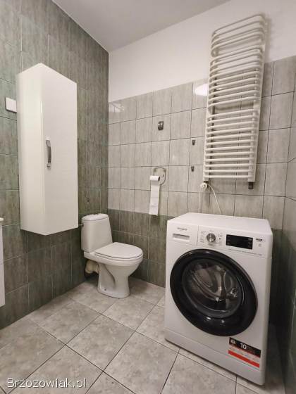 Mieszkanie do wynajęcia