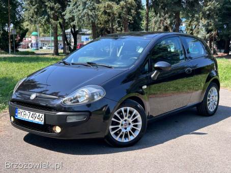 Fiat Punto Evo Racing 2011
