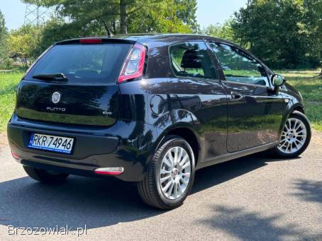 Fiat Punto Evo Racing 2011