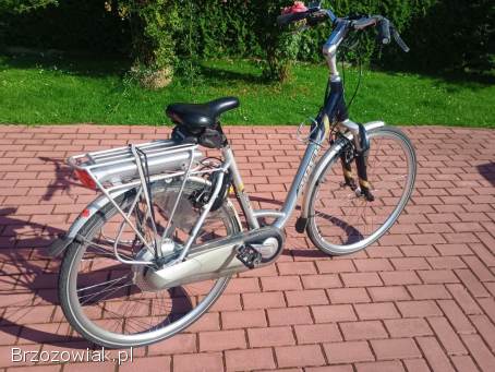Rower elektryczny Trek