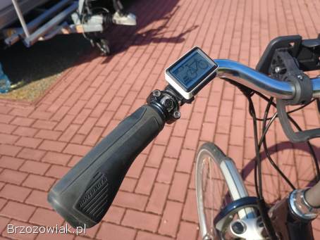 Rower elektryczny Trek