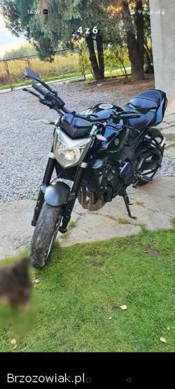 Yamaha F1 2008