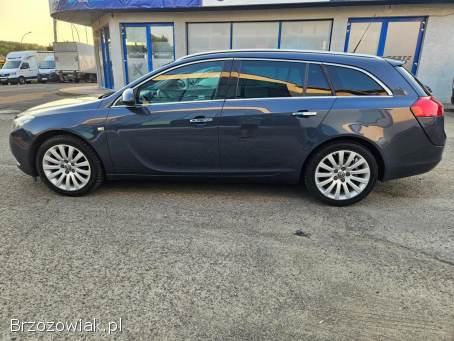 Opel Insignia 2.  0CDTI AUTOMAT 2010