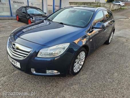 Opel Insignia 2.  0CDTI AUTOMAT 2010